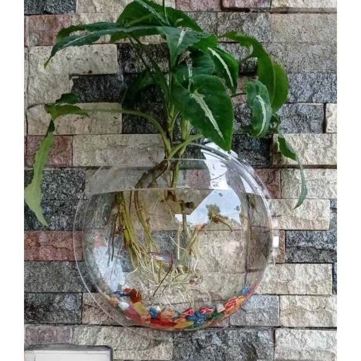 Vas Bunga Acrylic Bening Tempel Dinding Hiasan Vas Tanaman Aquarium Terrarium LN