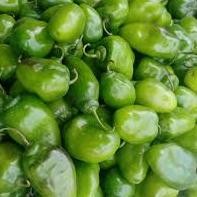 

Free Ongkir Cabai Gendot Cabe Gendot Bandung 250Gr Fresh