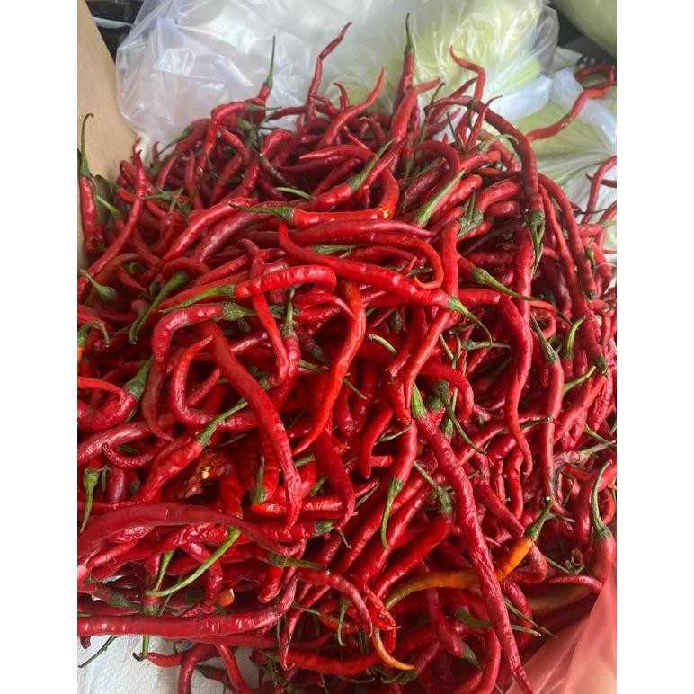 

Premium Cabe Merah Kriting 1 Kg Murah Meriah