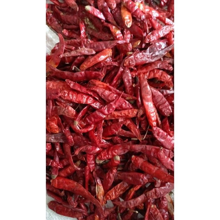 

Bahan Terbaik Kemasan 1Kg Cabe Rawit Teja Kering Infor India Kuakitas Bagus