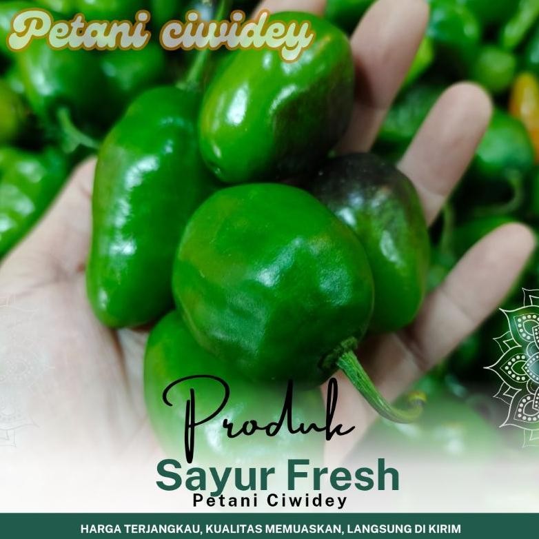 

Kenyamanan Cabai Gendot Hijau Bandung 1 Kg Pengganti Cabai Rawit