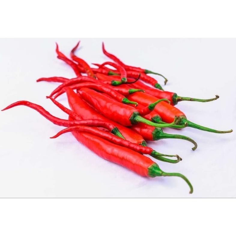 

Nikmati Cabe Rawit,Cabe Hijau,Lombok Kepiting,Lombok Besar