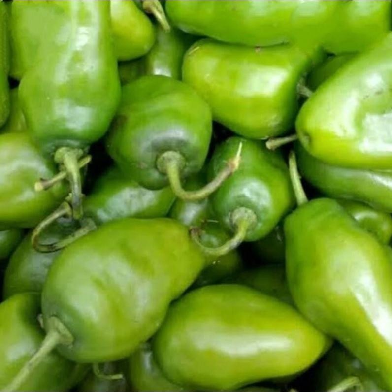 

Paling Laris Cabe Gendot Cabai Bendot Bandung Segar 500Gr