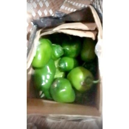 

Satisfaction Cabe Gendot Cabai Bendot Bandung Segar 500Gr