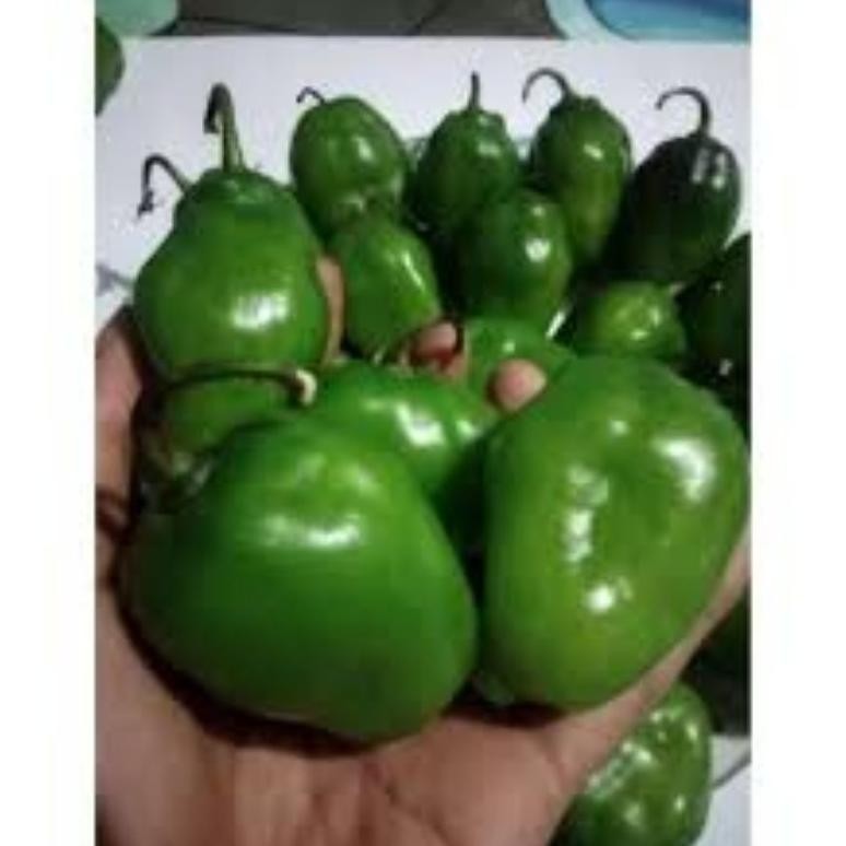

Keunggulan Cabe Gendot 1Kg (Fromo)