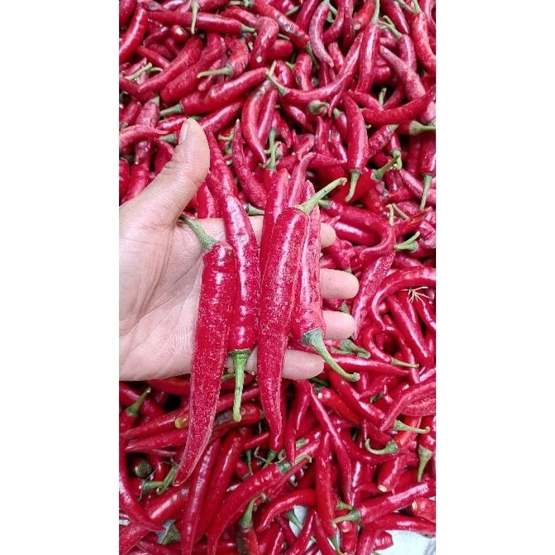

Promo Cabe Merah Besar Tw Beauty Pedas Merah 1 Kg