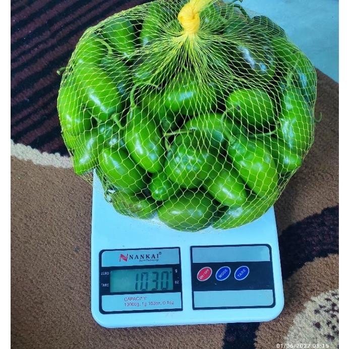 

Diskon Cabai Gendot Khas Kota Garut Berat 1 Kg