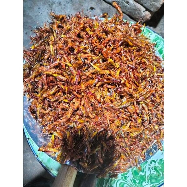 

Belalang Goreng kemasan 500 gram Murah!! Ori!!