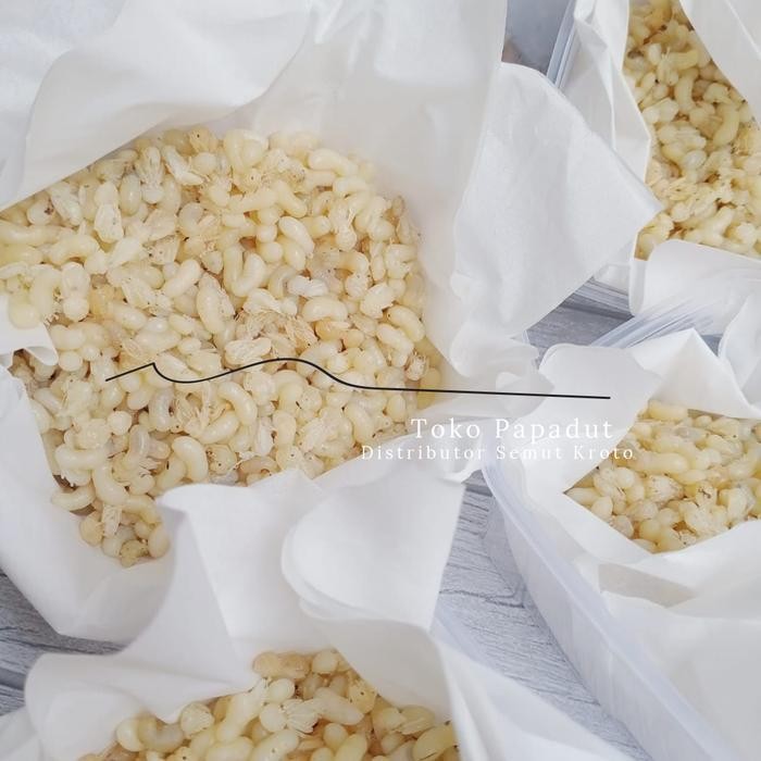 

Fpis Kroto Khusus Telur Besar 1 Ons