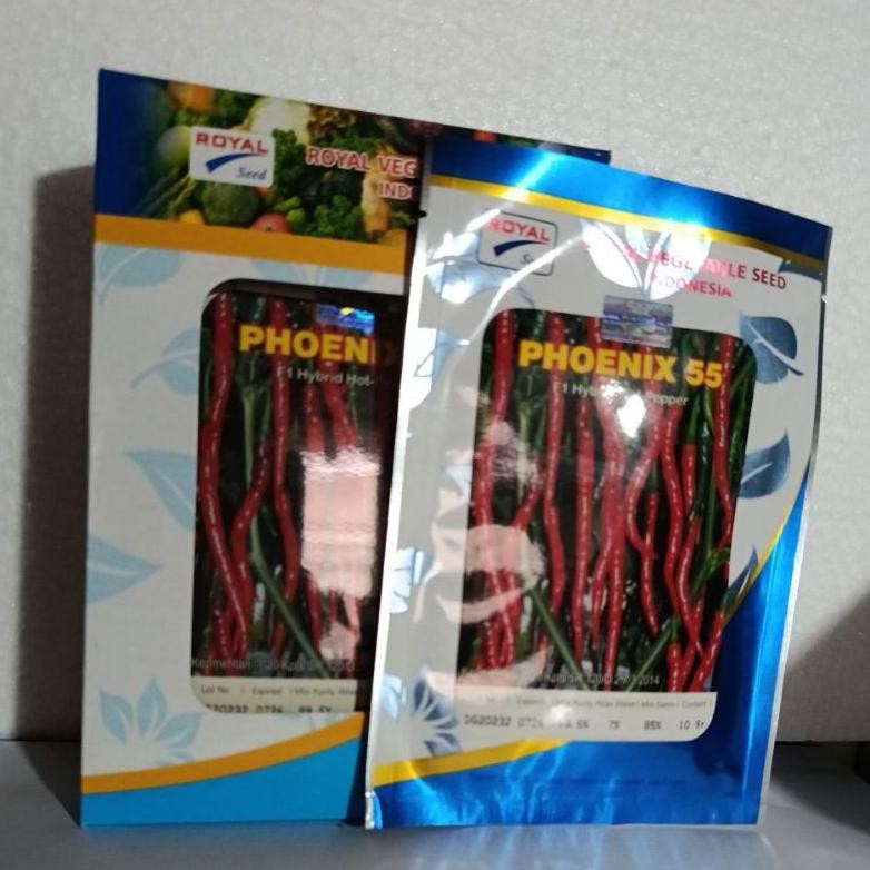 benih cabe PHOENIX 55 F1 HYBRID HOT PEPPER