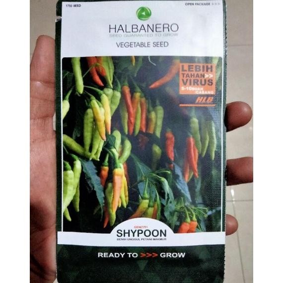 Benih Cabe Rawit SHYPOON Halbanero 10 Gram - Bibit Cabe Sipon  Sypon Shipon Shypon