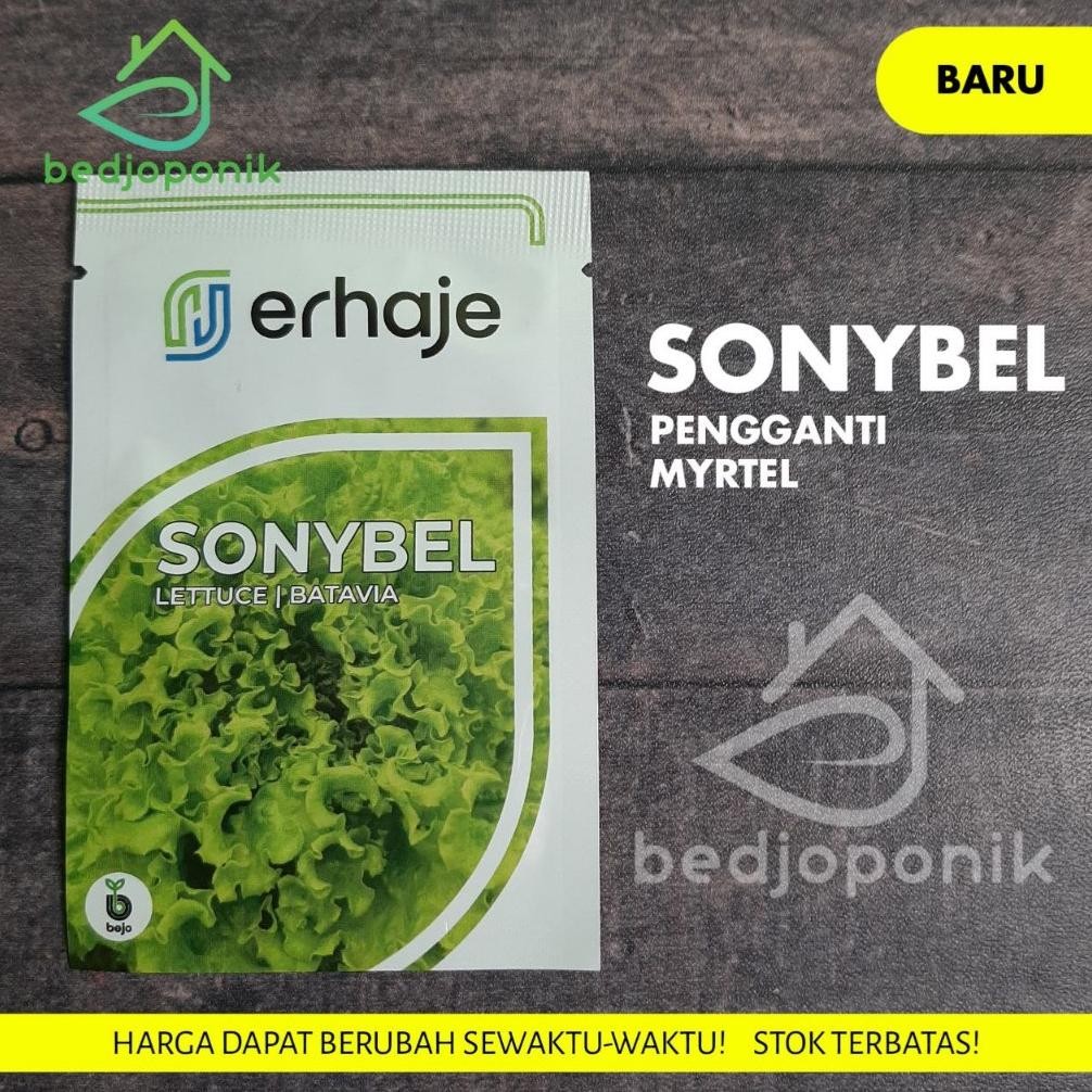 Benih SONYBEL 1gr Sonybel bejo Benih Selada bejo Benih selada import Sonybel Pengganti Benih Myrtel