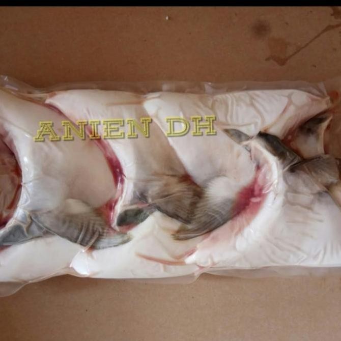 

Promo hamachi kama hamaci COD