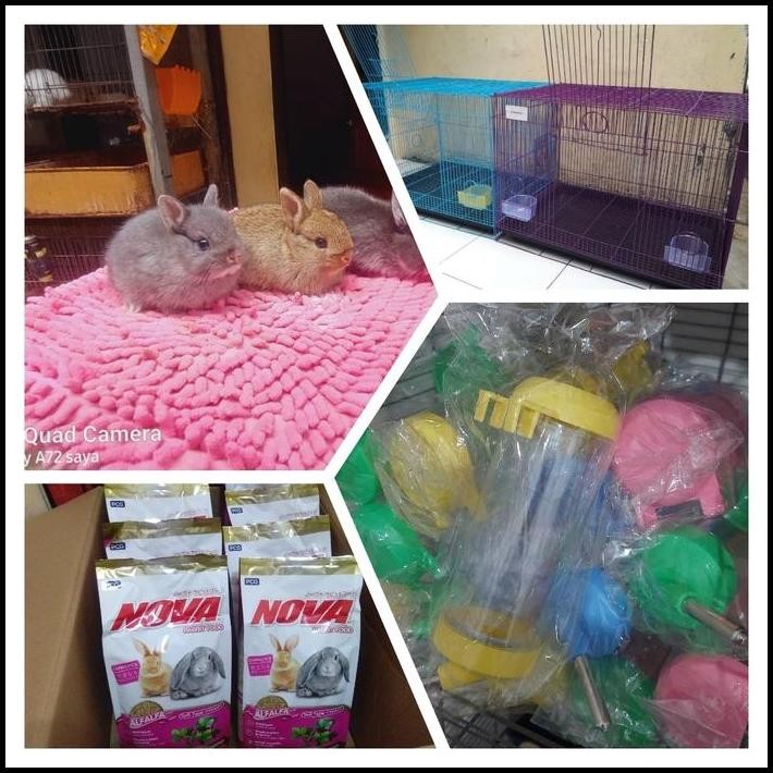 paket kelinci ND dan perlengkapan