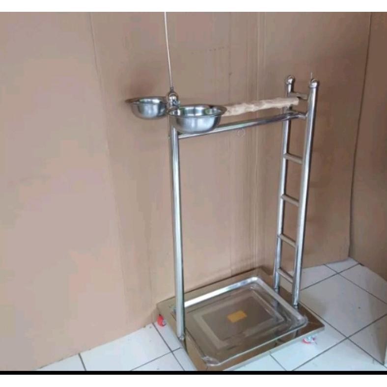 TANGKRINGAN BURUNG PARROT KAKAK TUA DiM