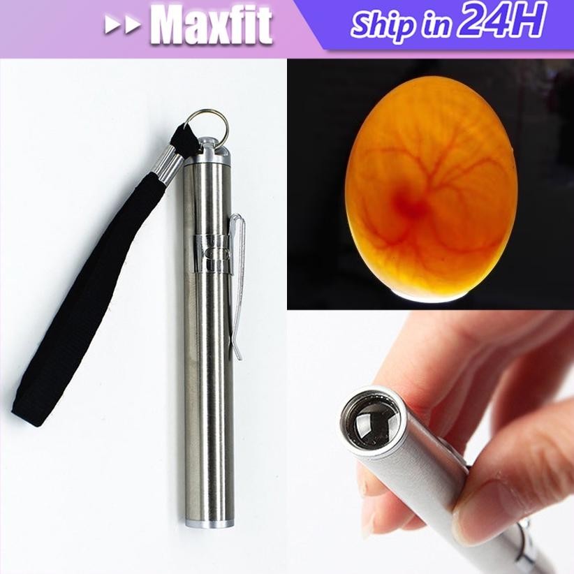 Senter Telur Stainless steel Senter Teropong Cek Telur Burung Ayam Kenari Bebek Senter Teropong Incu