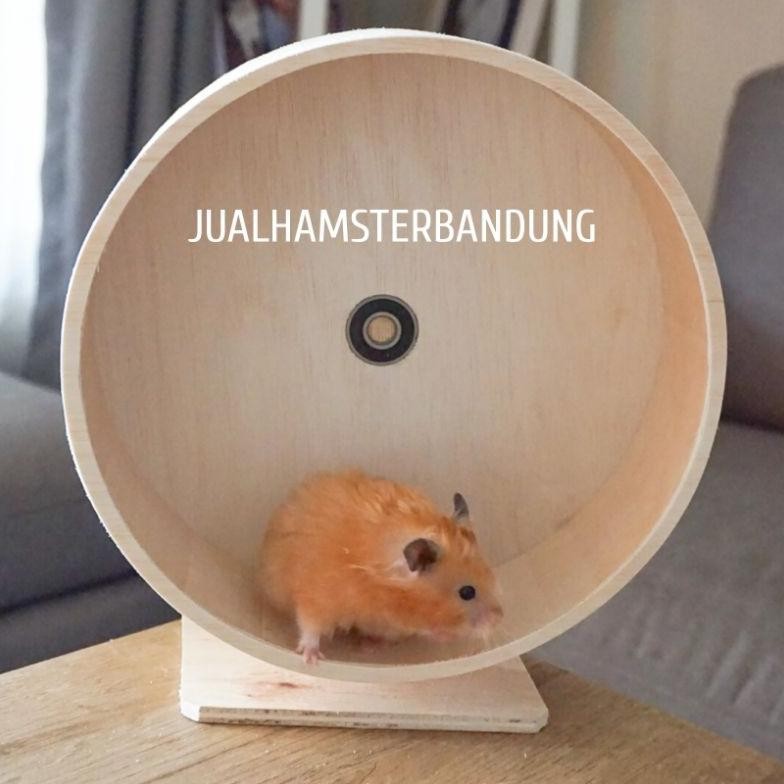 KINCIR KAYU HAMSTER / LANDAK MINI 25CM / JOGGING WHEEL HAMSTER 25CM / ROLLING WHEEL HAMSTER DIAMETER