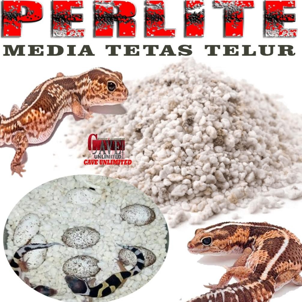 PERLIT PERLITE ALAS INCUBASI  SUBSTRAT MEDIA TETAS PENETASAN TELOR TELUR REPTILE LEOPARD GECKO BEARD