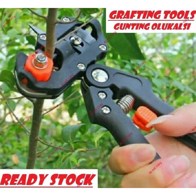 Grafting Tool Gunting Okulasi Cangkok Grafting Stek Sambungan Dahan