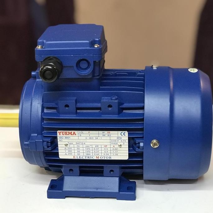 Elektromotor Yuema 0,5 Hp 4 pole 3phase horizontal