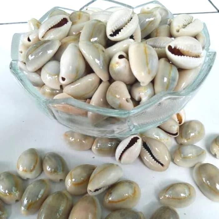 TERBARU Biji Congklak 1 kg / Kuwuk Kerang Asli 1kg / biji keong