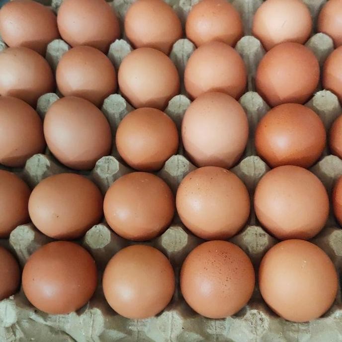 

telur negri ukuran sedang, 30btr is