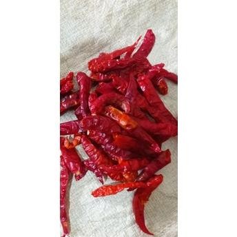 

Murah 1Kg Cabe Rawit Caplak Teja Kering Kualitas Super Pedas Nugi