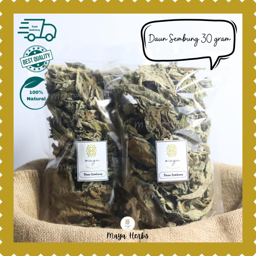 

Daun Sembung Kering 30 Gram ( Blumea Balsamifera ) Nugi