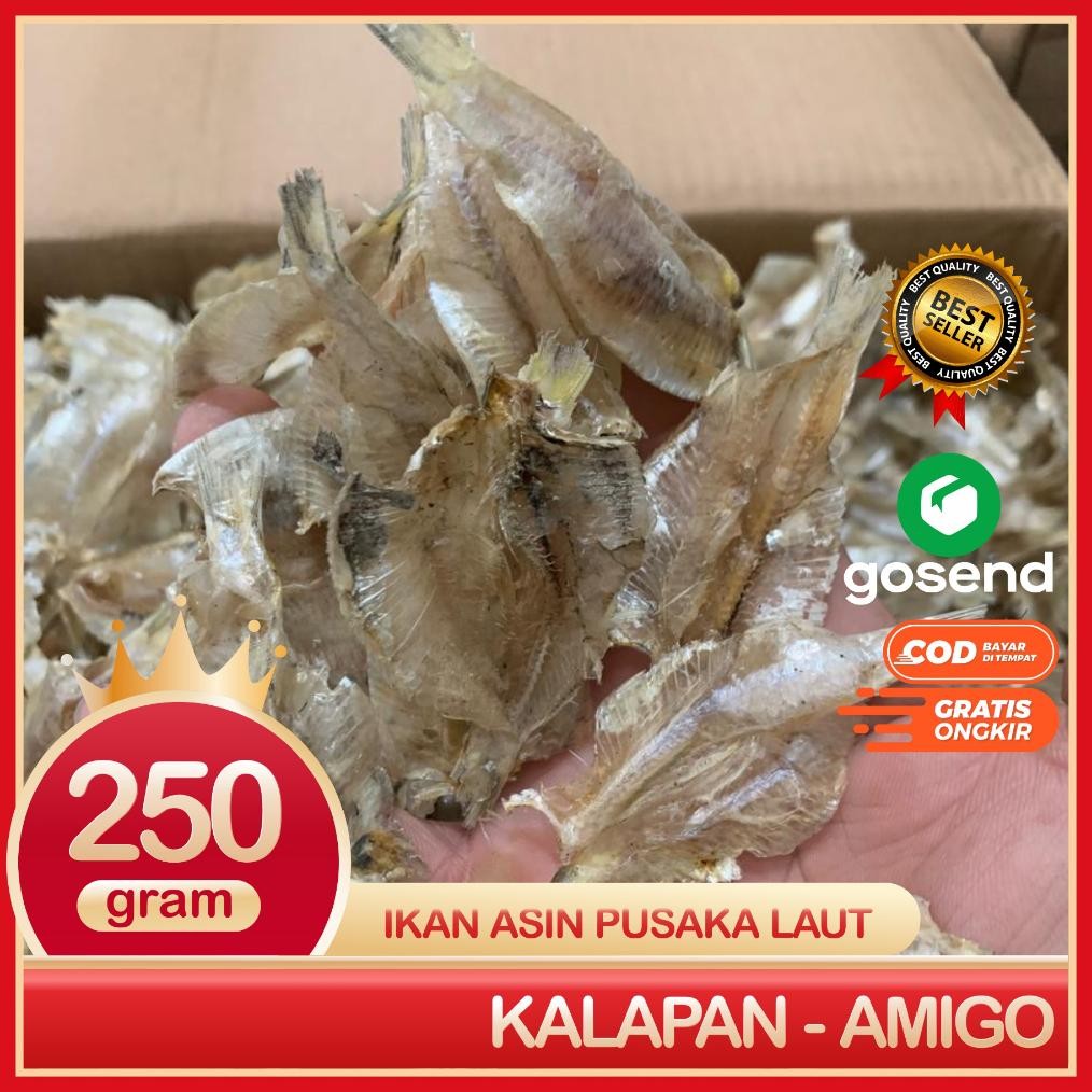 

Kalapan Amigo Ikan Asin Kalapan Tipis Bersih Dan Super Segar 250 Gram