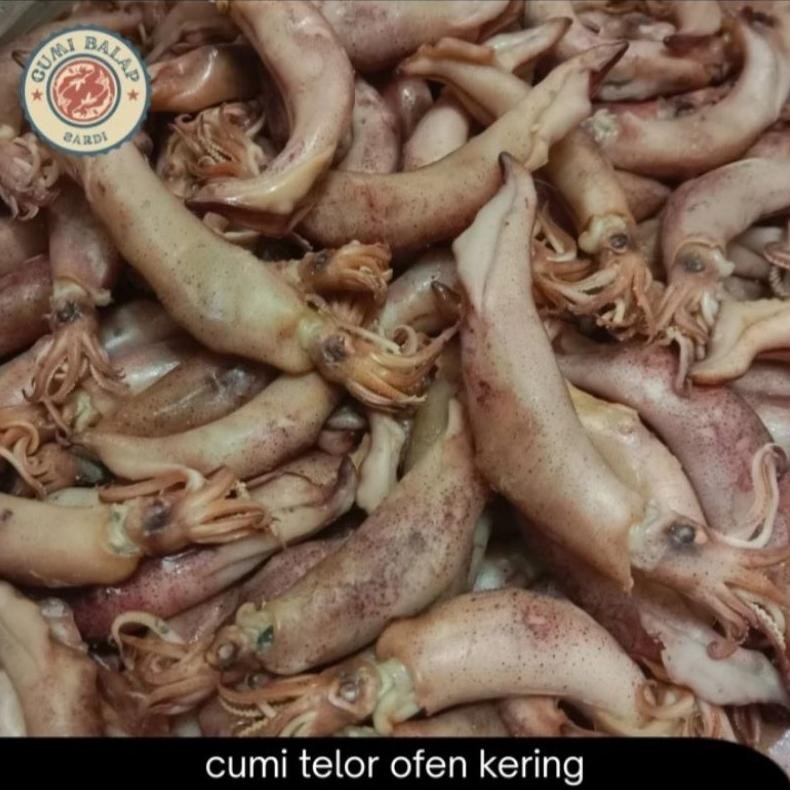 

ikan cumi sotong kering bertelor
