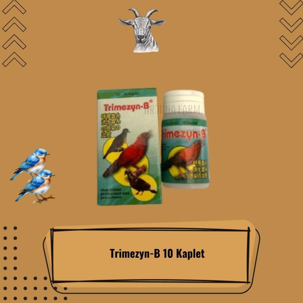 Trimezyn B Plus 10 Kaplet Obat Burung Sesak Nafas Medion