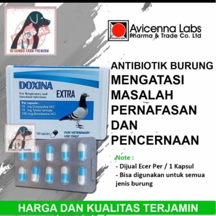 DOXINA EXTRA AVICENNA LABS OBAT ANTIBIOTIK PERNAPASAN PENCERNAAN