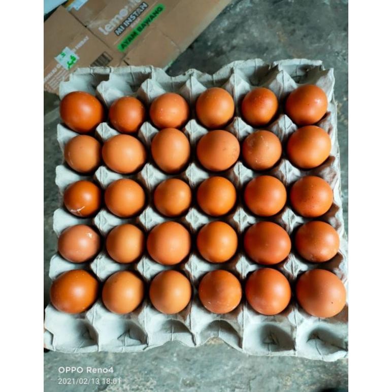 

Telur Ayam Negri PerKg telor Nugi