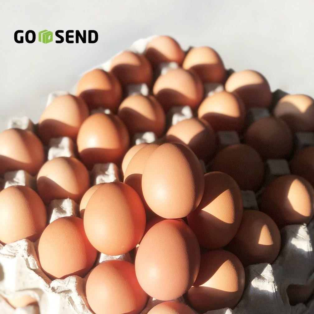 

MINIMAL CHECK OUT 15 kg | Telur Ayam Negri / Negeri | Supplier / Distributor Telur Bandung Nugi