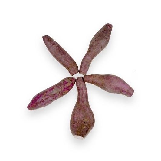 

Ubi Jepang Ungu organik 1kg Nugi