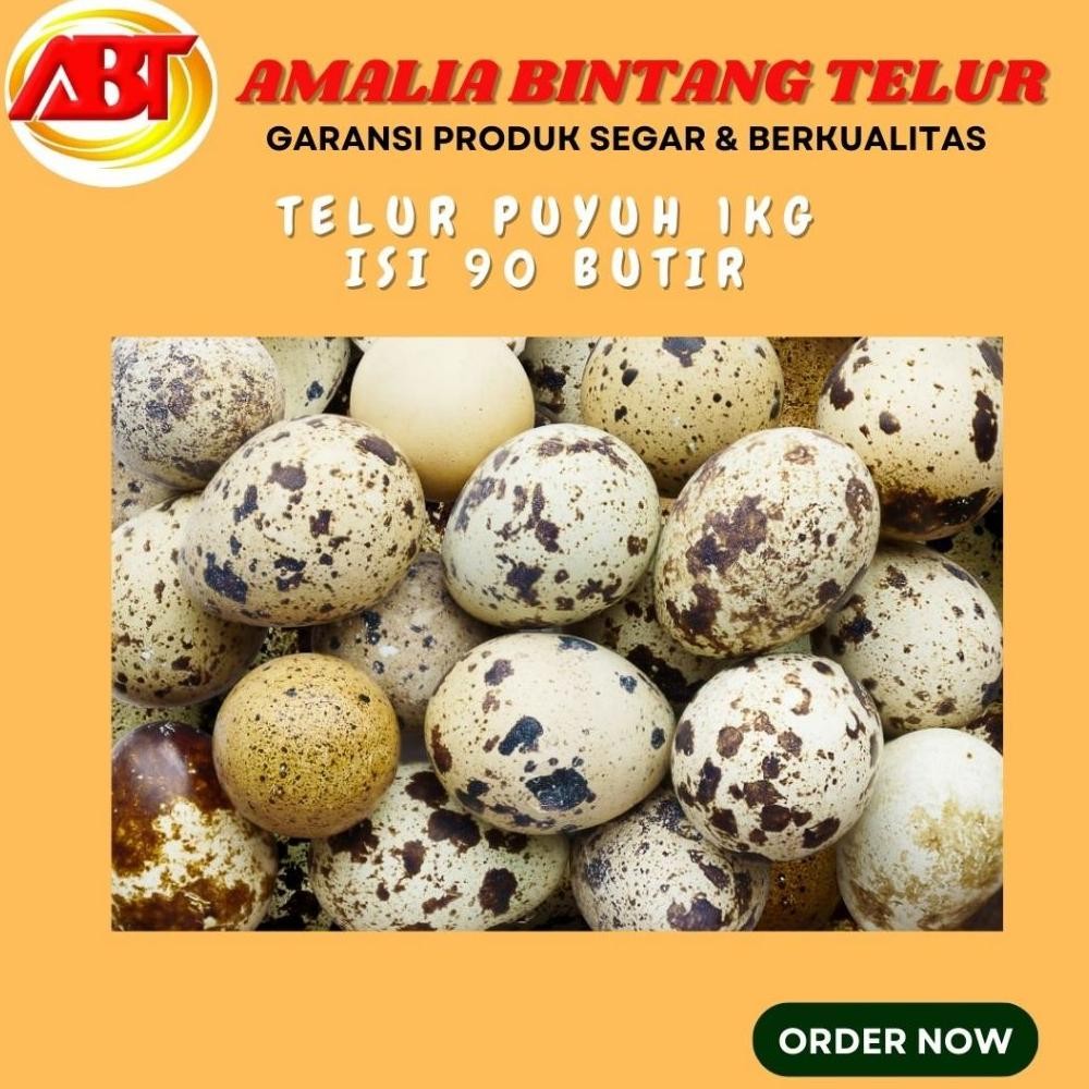 

Telur Puyuh Mentah 1kg Isi 90 Butir Segar Nugi