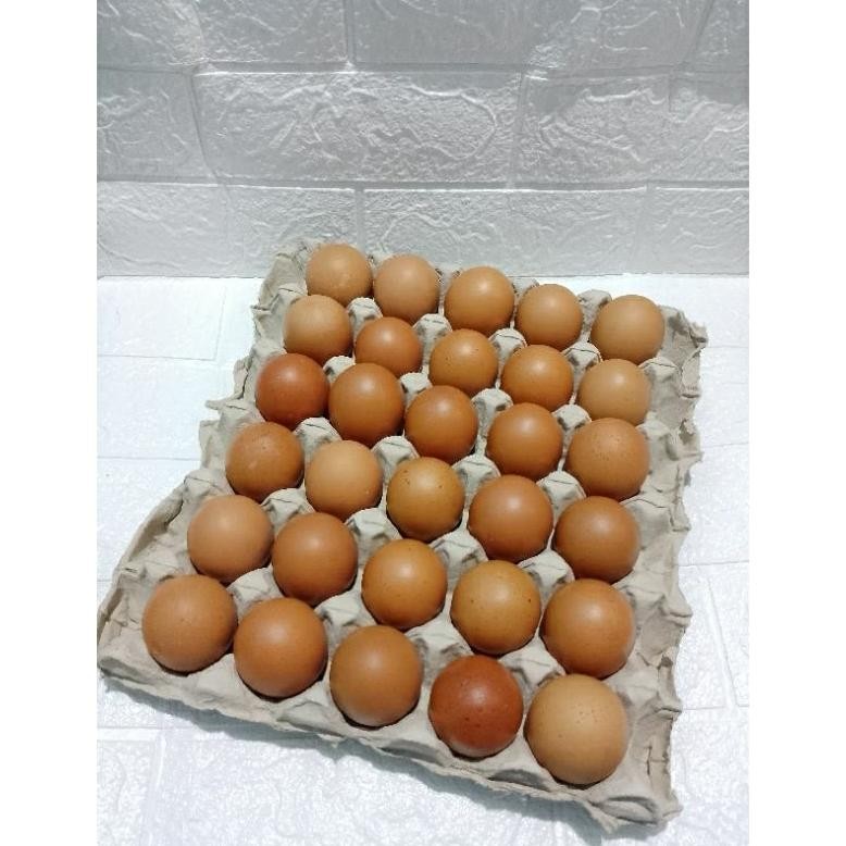 

Telur ayam negeri isi 30 butir sekitar 1,9 kg kulit lebih tebal /kirim instan Nugi