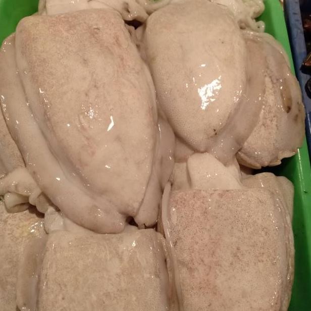 

SONTONG KPL KUTAK SEGAR per 1000gr atau 500gr Nugi