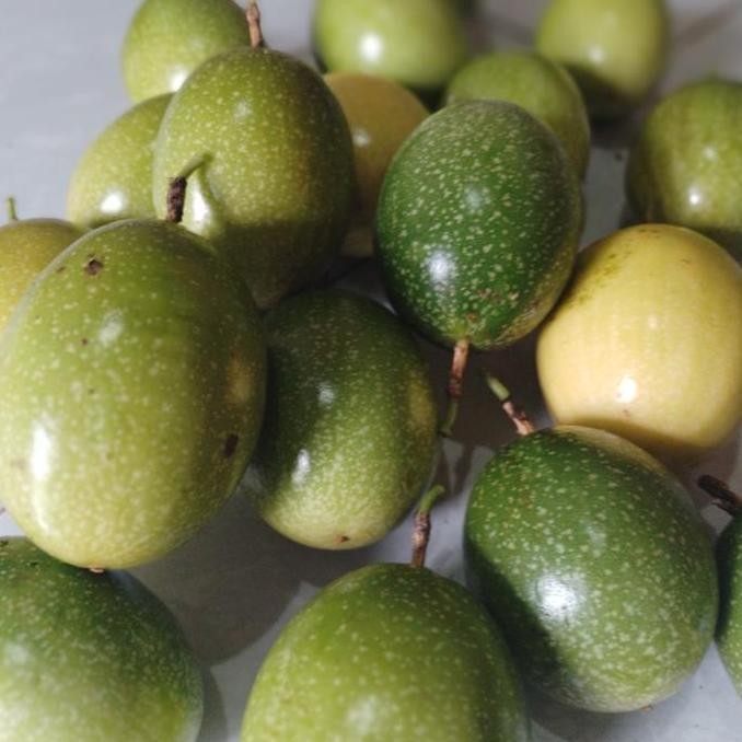 

Buah markisa kuning segar matang langsung dari pohon 1kg