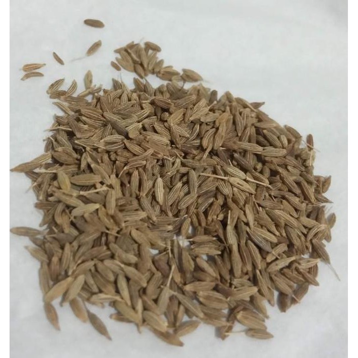

favorit] Jintan India Jeera Zeera 100 gram