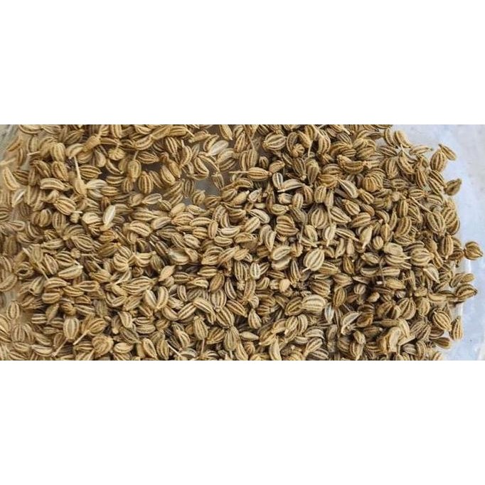 

:::::::] AJWAIN (carom seeds) 100gr