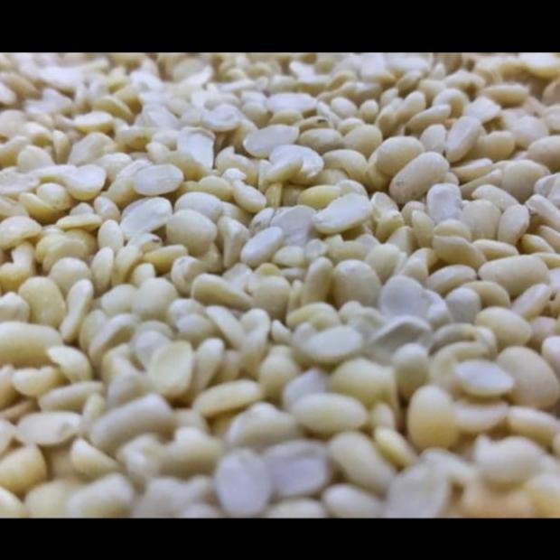 

*****] URAD DAAL SPLIT 500 G ( PLAIN PACKING ) WHITE