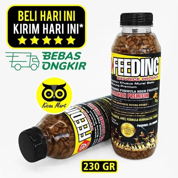 ,,,,,,,] Voer Lolohan Premium Oxivoice Feeding Pakan Lolohan Anakan Burung Mura