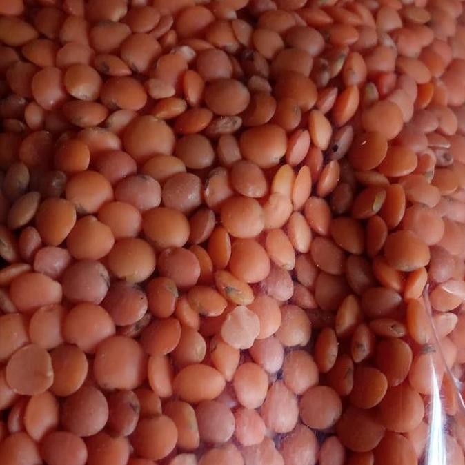 

~^~^~^] Adas Merah/Lentil Merah