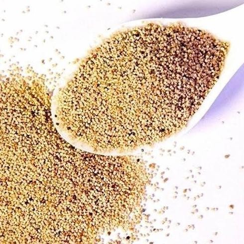 

Open DS] POPY SEED-KHAS KHAS SHUDDH 500 GR