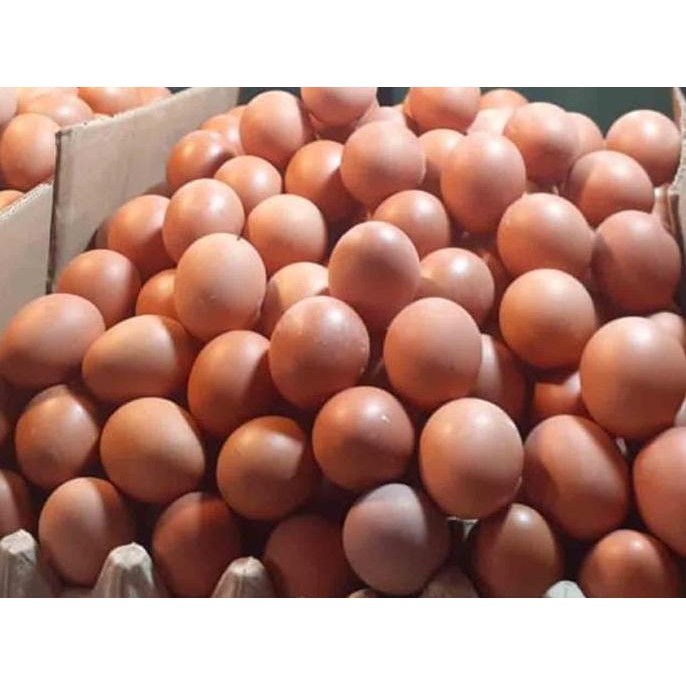 

Produk Baru!! Telur Ayam Negeri Segar per Kg - Harga Grosir Terbaik
