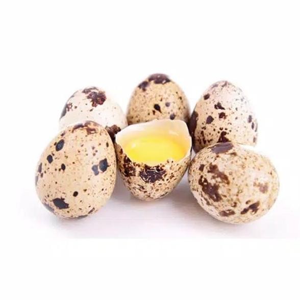 

Produk Baru!! Telur Puyuh Segar Isi 45 Butir Kualitas Super