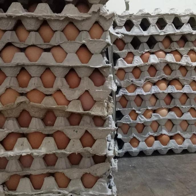 

Produk Baru!! Telur Ayam Negeri Segar - Fresh 1kg Isi 15-17 Butir