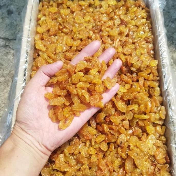 

$$$$] GOLDEN KING RAISINS OF IMPORT / KISMIS GOLDEN ASAM MANIS IMPORT 10 KG