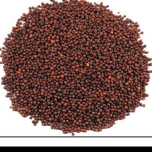 

$$$$] Black MUSTARD seed 500 gram/ biji sawi hitam